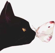 这鱼儿齁咸的个人资料头像