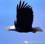 李刚信民的个人资料头像