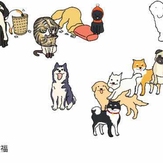 mixlab于2018-02-12 15:12发布的图片