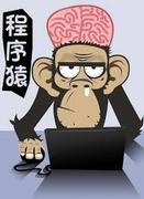 码议码的个人资料头像