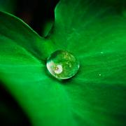 leee14的个人资料头像