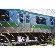 一颗栗子的个人资料头像