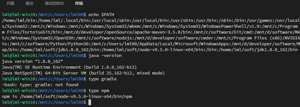 查看工具的配置结果