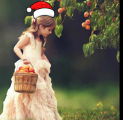 三年级的zx的个人资料头像