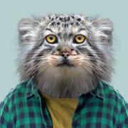 jeanyun的个人资料头像