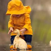 我是小猴纸呀的个人资料头像