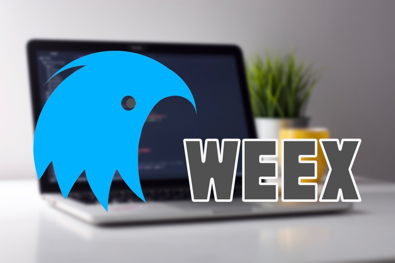 weex review
