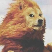 木子的木木的个人资料头像