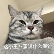 GETStrongBENice的个人资料头像