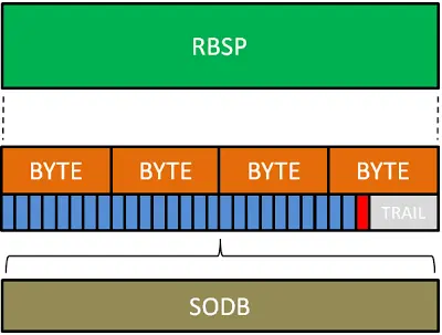 RBSP.png