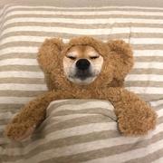 小二_多加香菜的个人资料头像