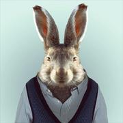 秋刀鱼的猫的个人资料头像