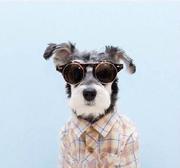 jojotov的个人资料头像