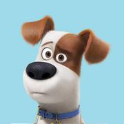 马小帅的个人资料头像