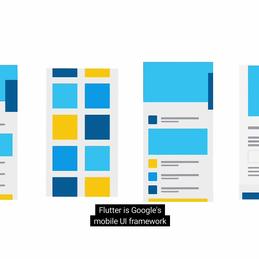 小智菌于2018-02-27 03:11发布的图片