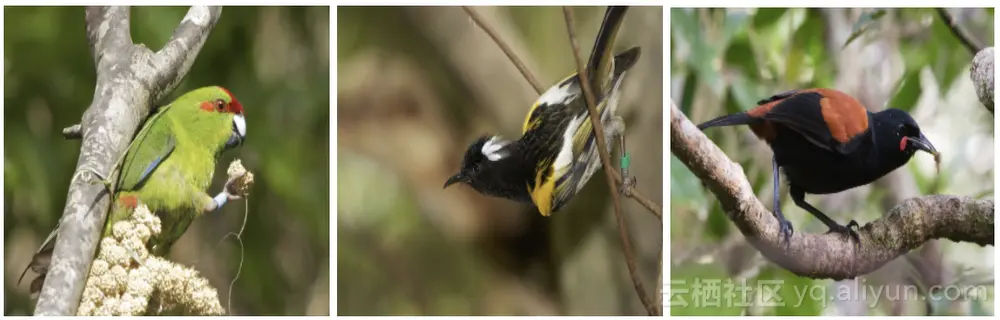 d6ee2c42efd3e544636d466cb6abfda119537ccc