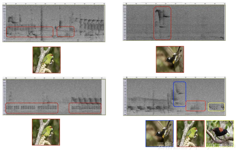 76ba3f54b0d4e5d54bade2d654806cb31cc4541e