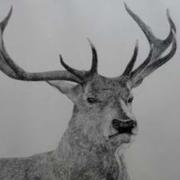 PierceDark怎么消除啊的个人资料头像