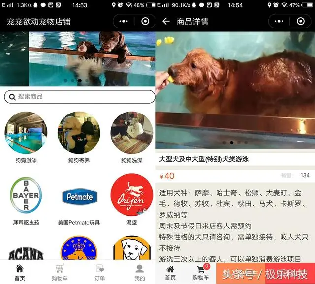 论铲屎官的最高境界