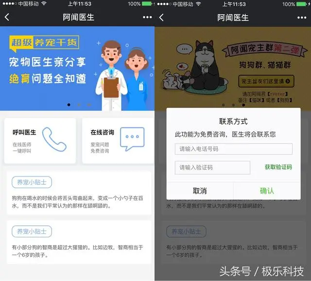 论铲屎官的最高境界