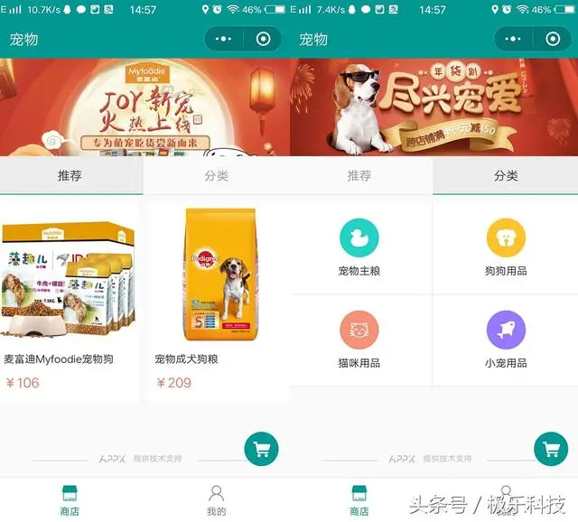 论铲屎官的最高境界