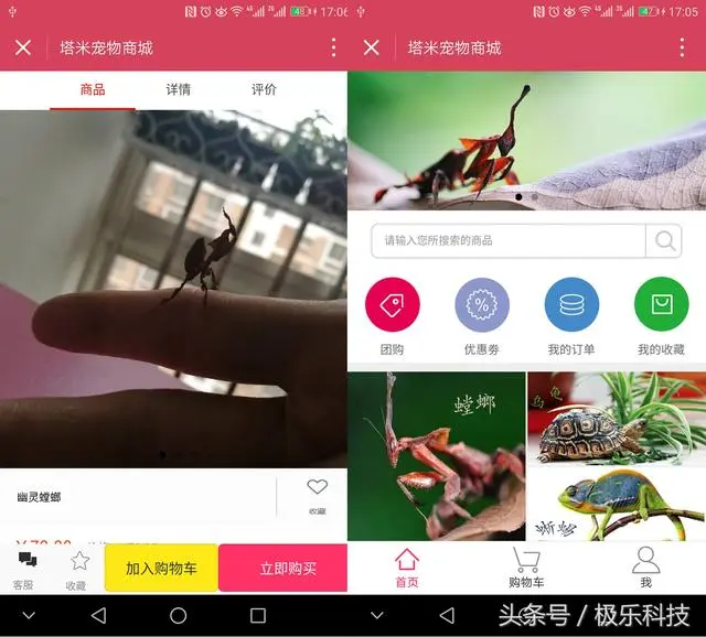 论铲屎官的最高境界