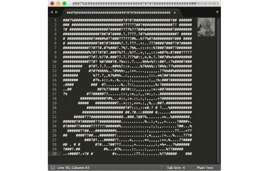 Sublime编辑器里的成像效果