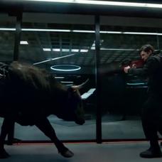 梅楼封于2018-02-05 17:53发布的图片