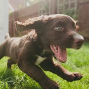 FGGFGG的个人资料头像