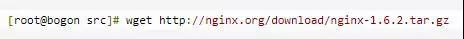 Nginx