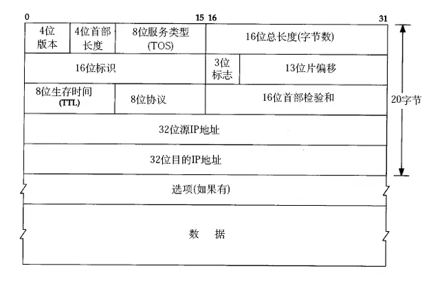 ip数据报格式