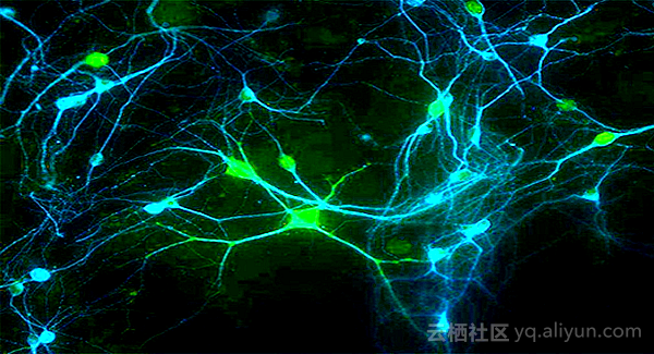 7db62e7d3034defd2ab9f91840b7f1ffa2d1de47