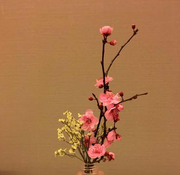 Ethan周周的个人资料头像