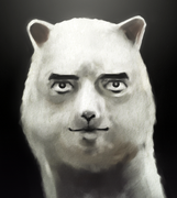 蓝鲸的个人资料头像