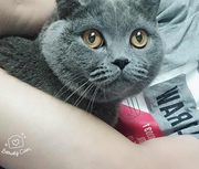 rainpen的个人资料头像