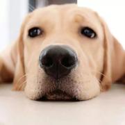 jingya123的个人资料头像