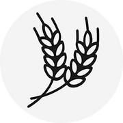 你若盛开清风自来的个人资料头像