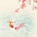 Cupied的个人资料头像