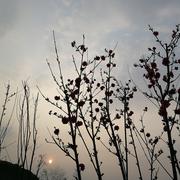 yangzimiemie的个人资料头像