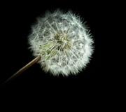 frostwolf的个人资料头像