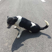 Aion20328的个人资料头像