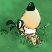 阿拉桑的个人资料头像