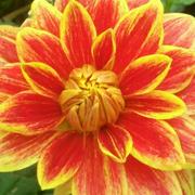 未行的个人资料头像