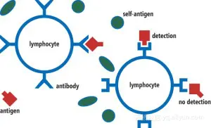 50177b458305120a06114729ae3232ca5492b42c