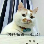 Tzuao的个人资料头像