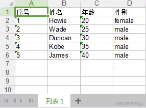 导入数据后的 Excel 表