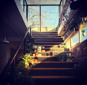 SumH的个人资料头像