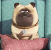 antchow的个人资料头像