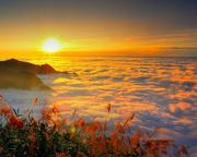 Hanfuny的个人资料头像