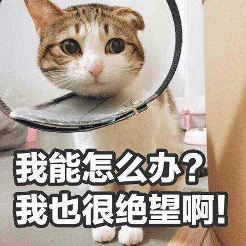 路北同志于2018-03-26 22:15发布的图片